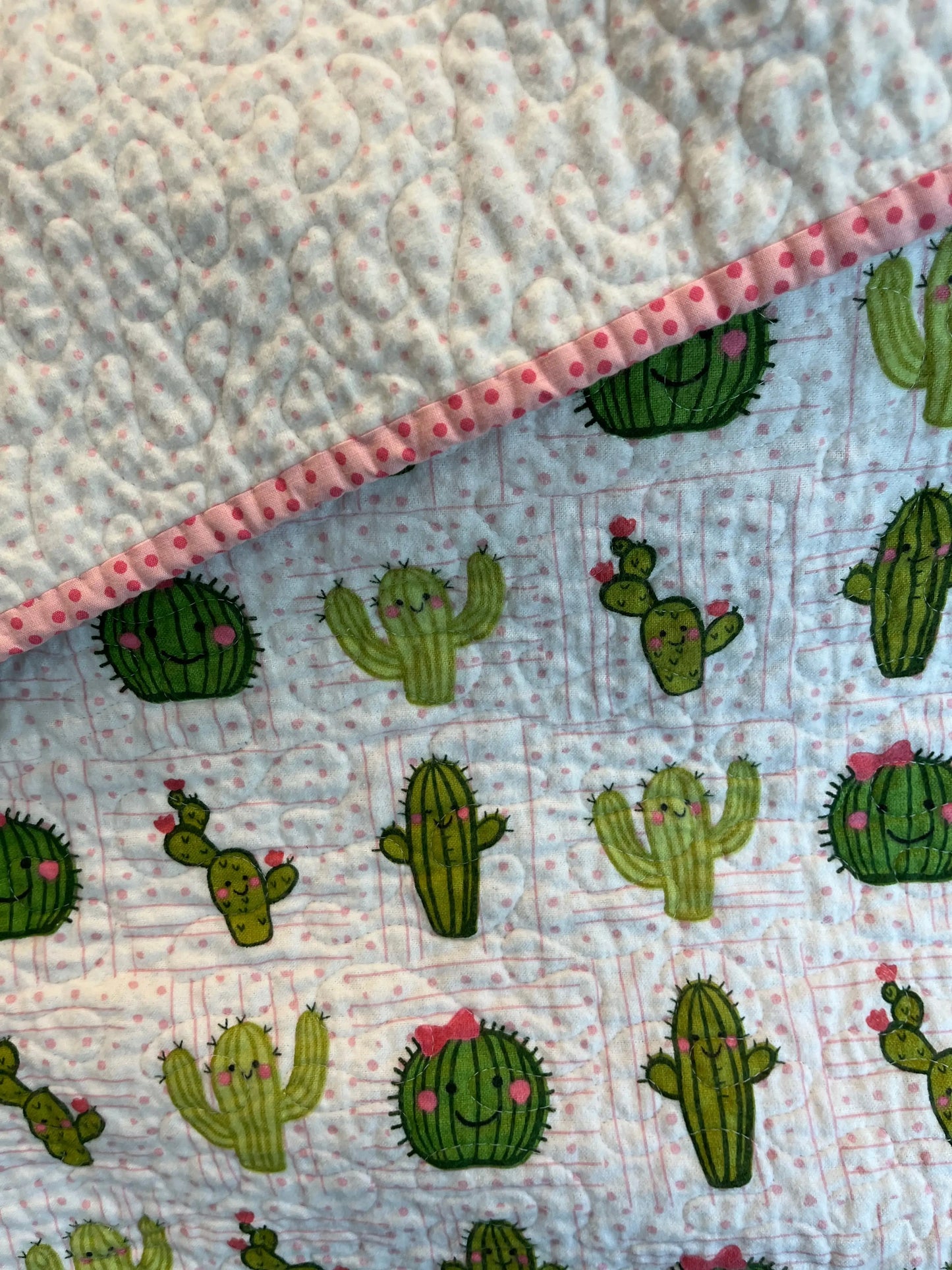 Cactus Smile Quilt - Bold Border Quilts and More