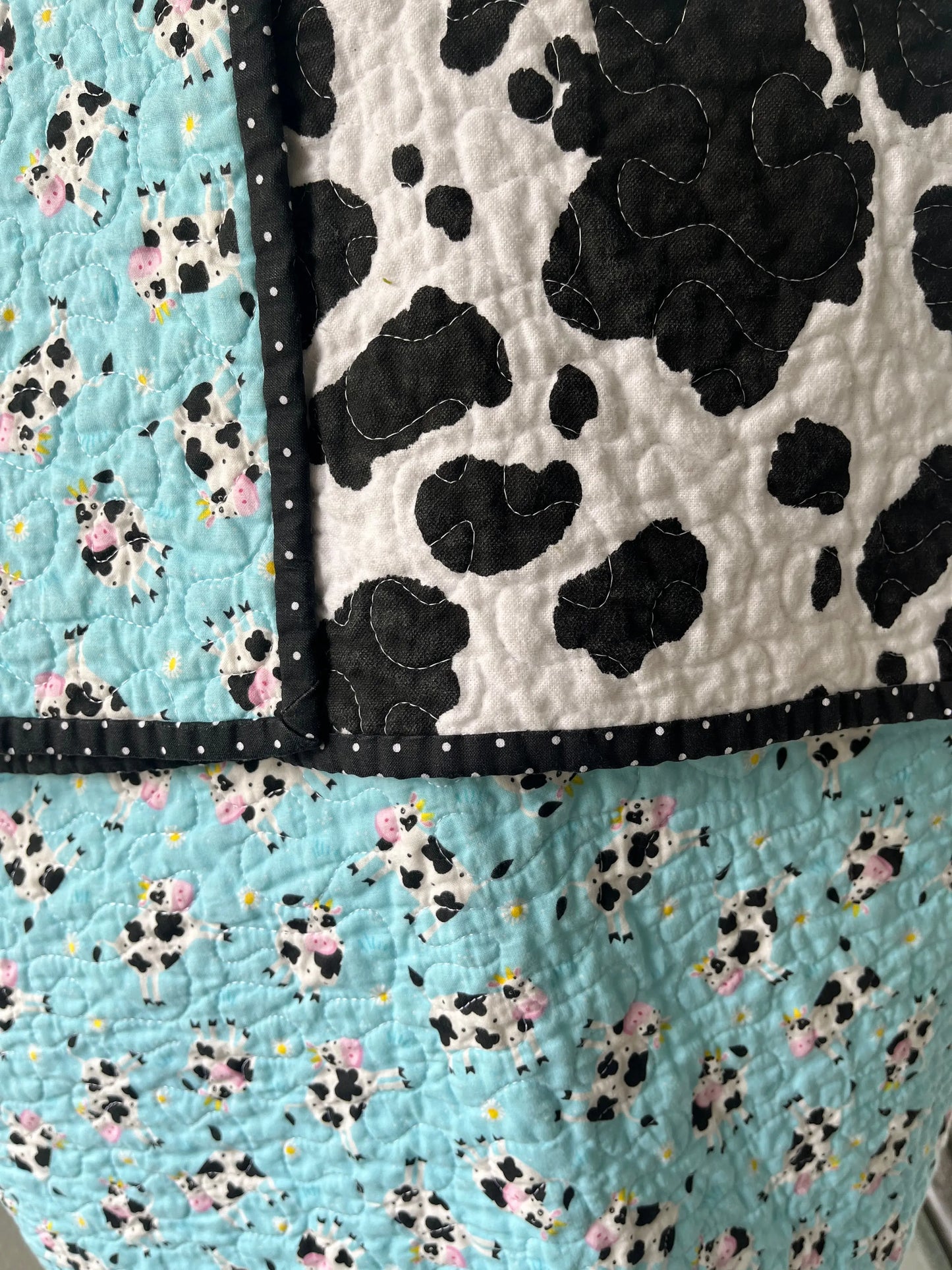 Cows Galore Quilt - Bold Border Quilts and More