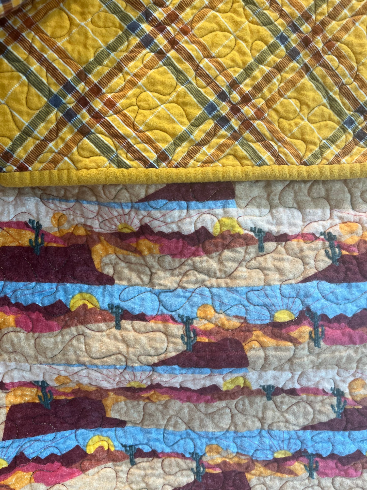 Arizona Skyline with Cactus Quilt - Bold Border Quilts and More