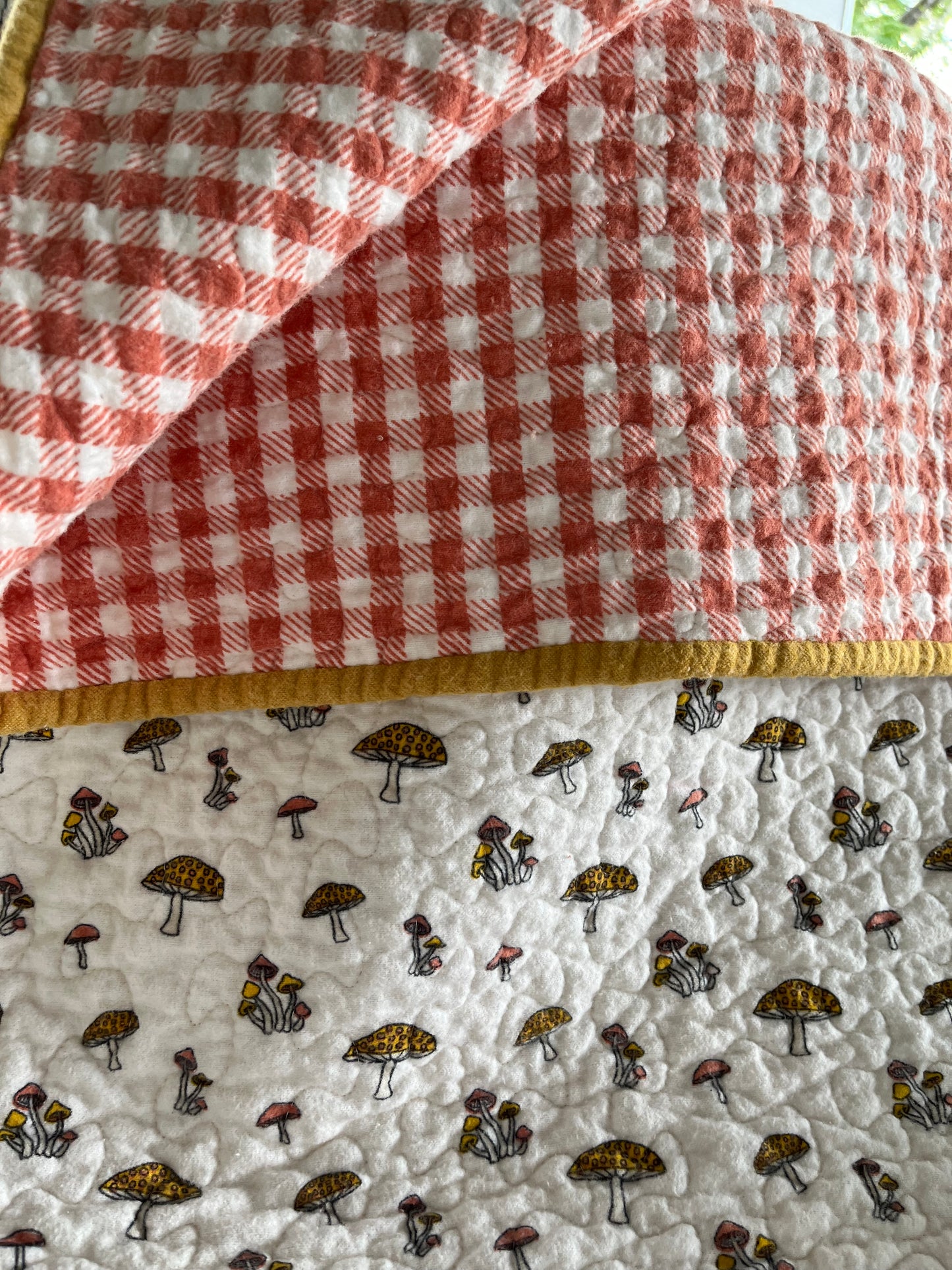 Mushrooms Everywhere - Bold Border Quilts and More