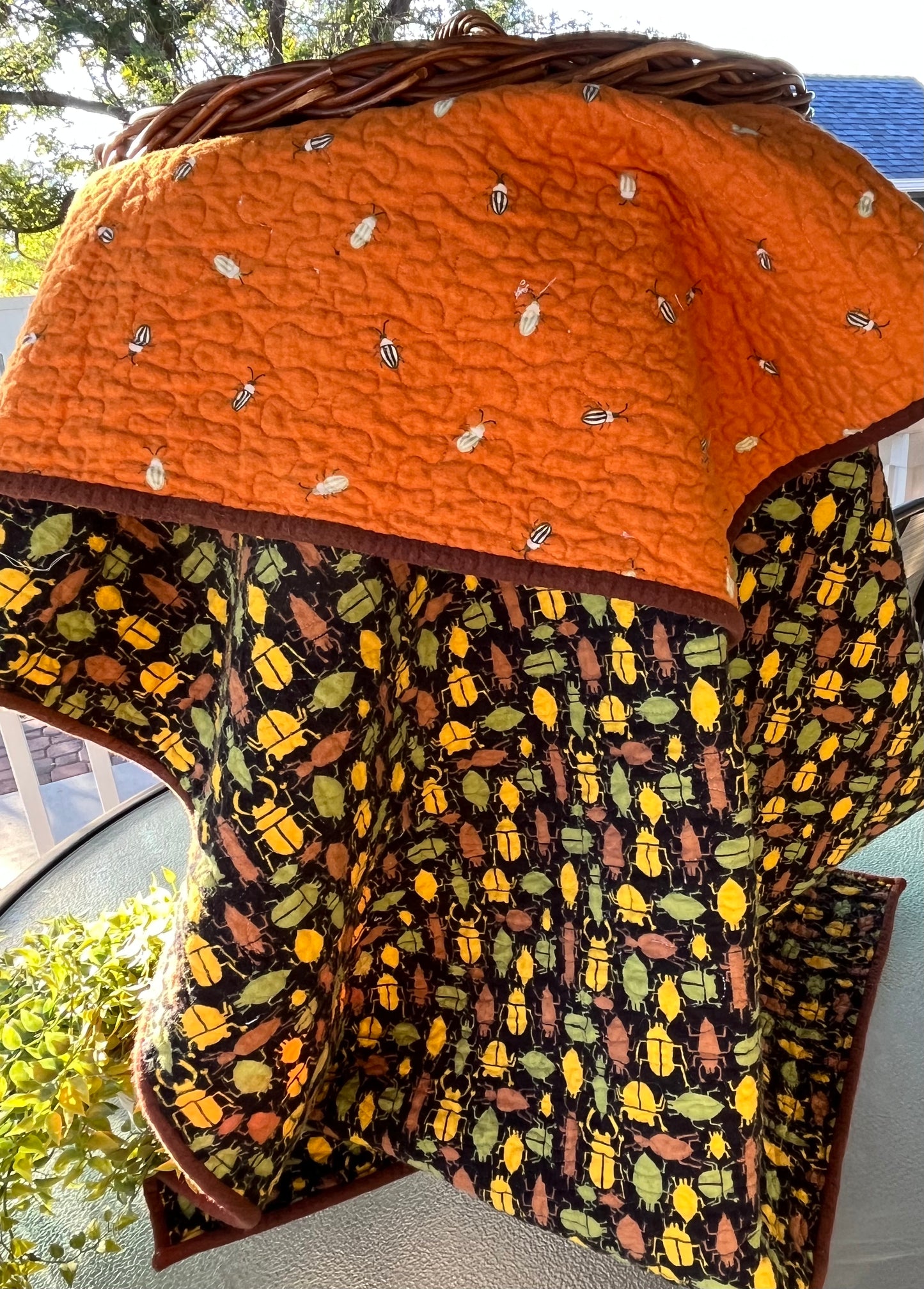Bugs Galore! Kids Quilt - Bold Border Quilts and More