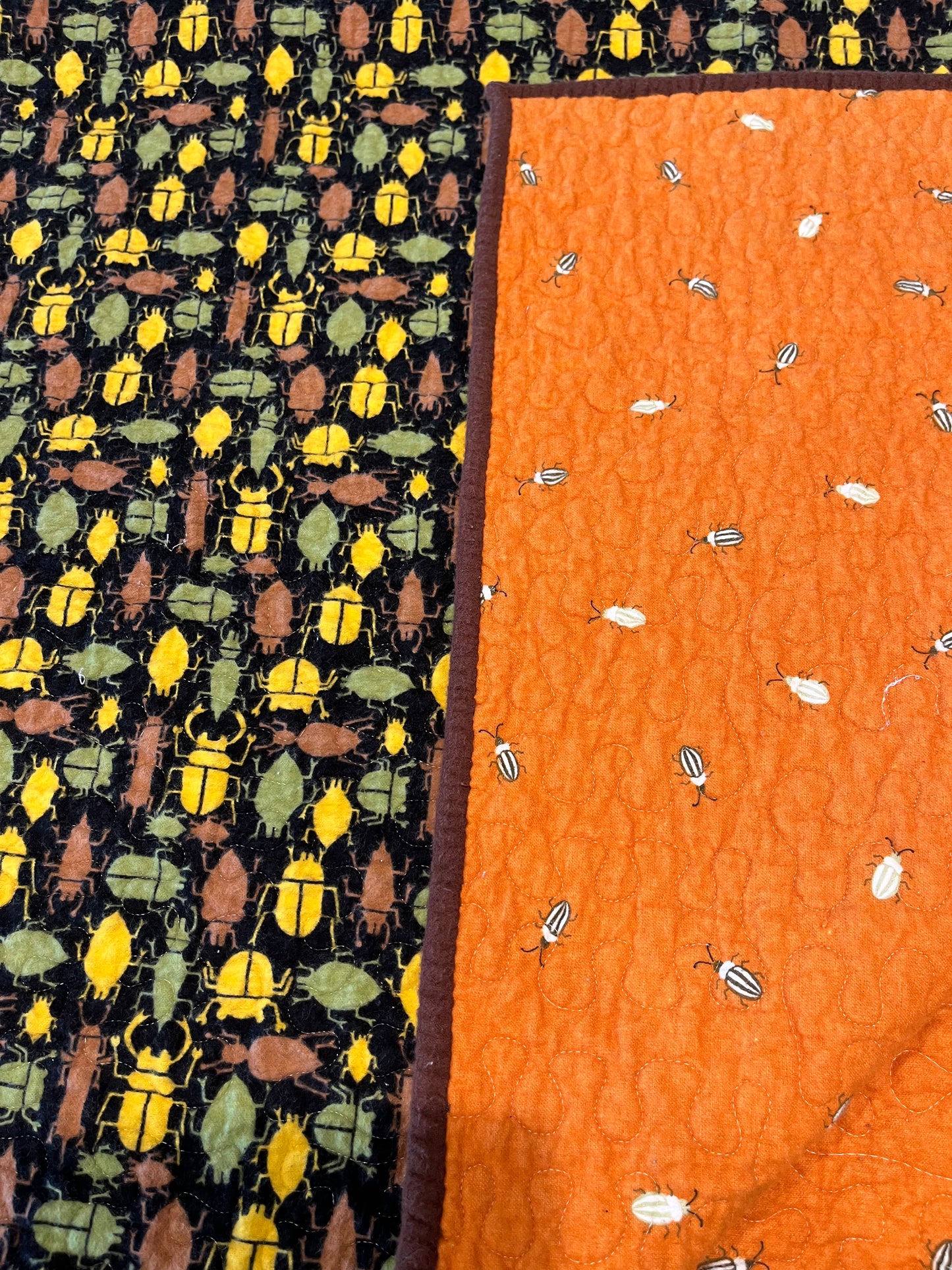 Bugs Galore! Kids Quilt - Bold Border Quilts and More