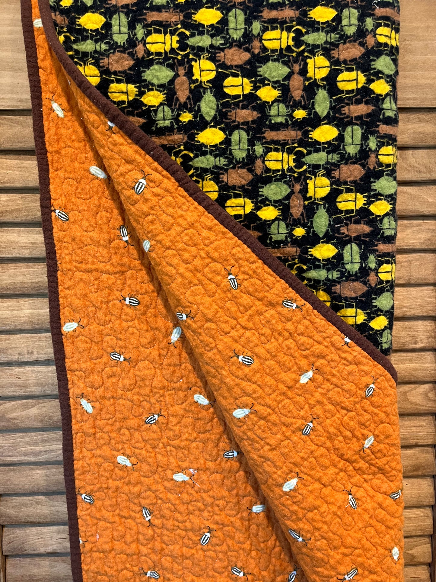 Bugs Galore! Kids Quilt - Bold Border Quilts and More