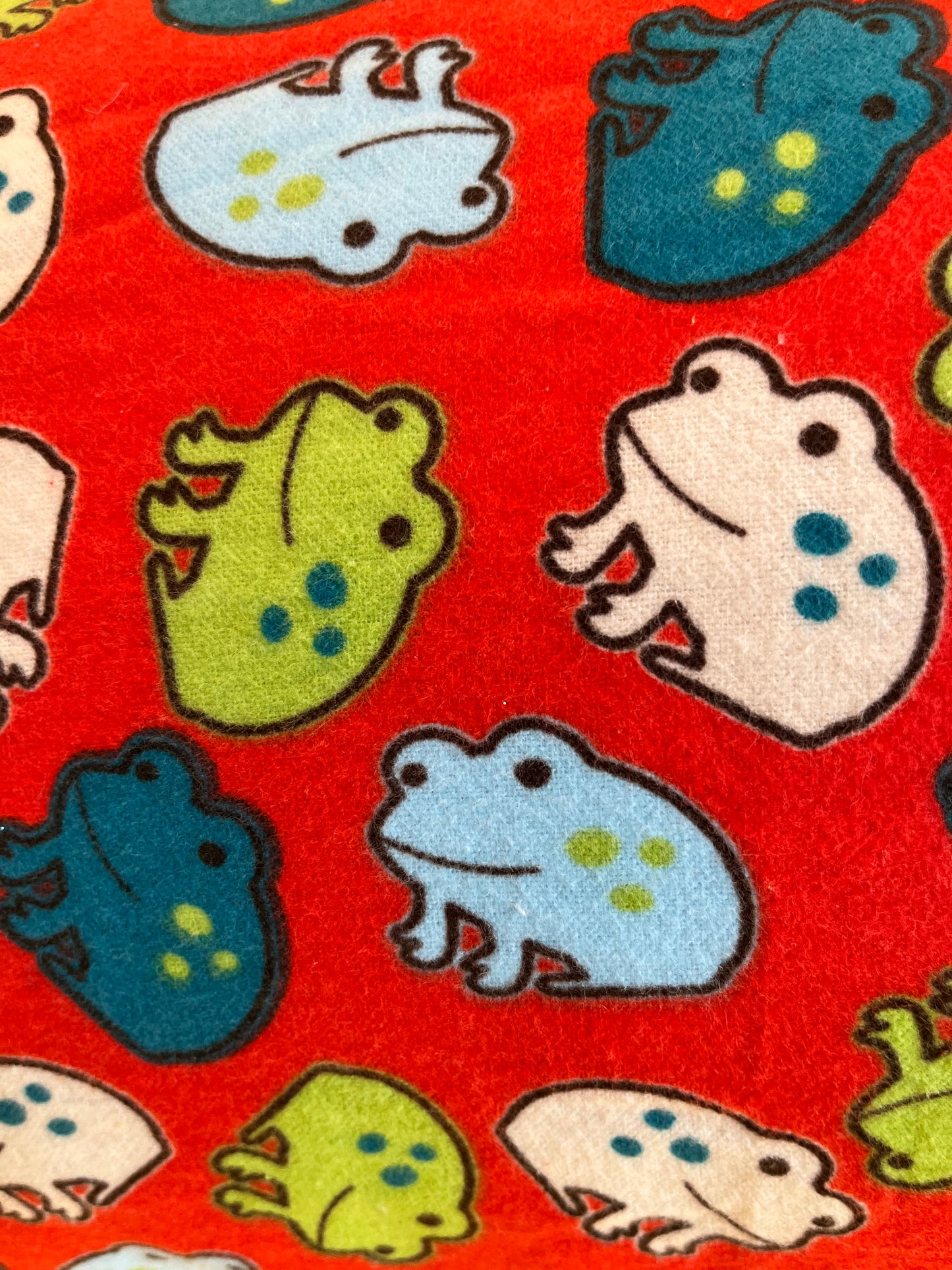 "Frogs" Envelope Style Homemade Kids Pillowcase - Bold Border Quilts and More