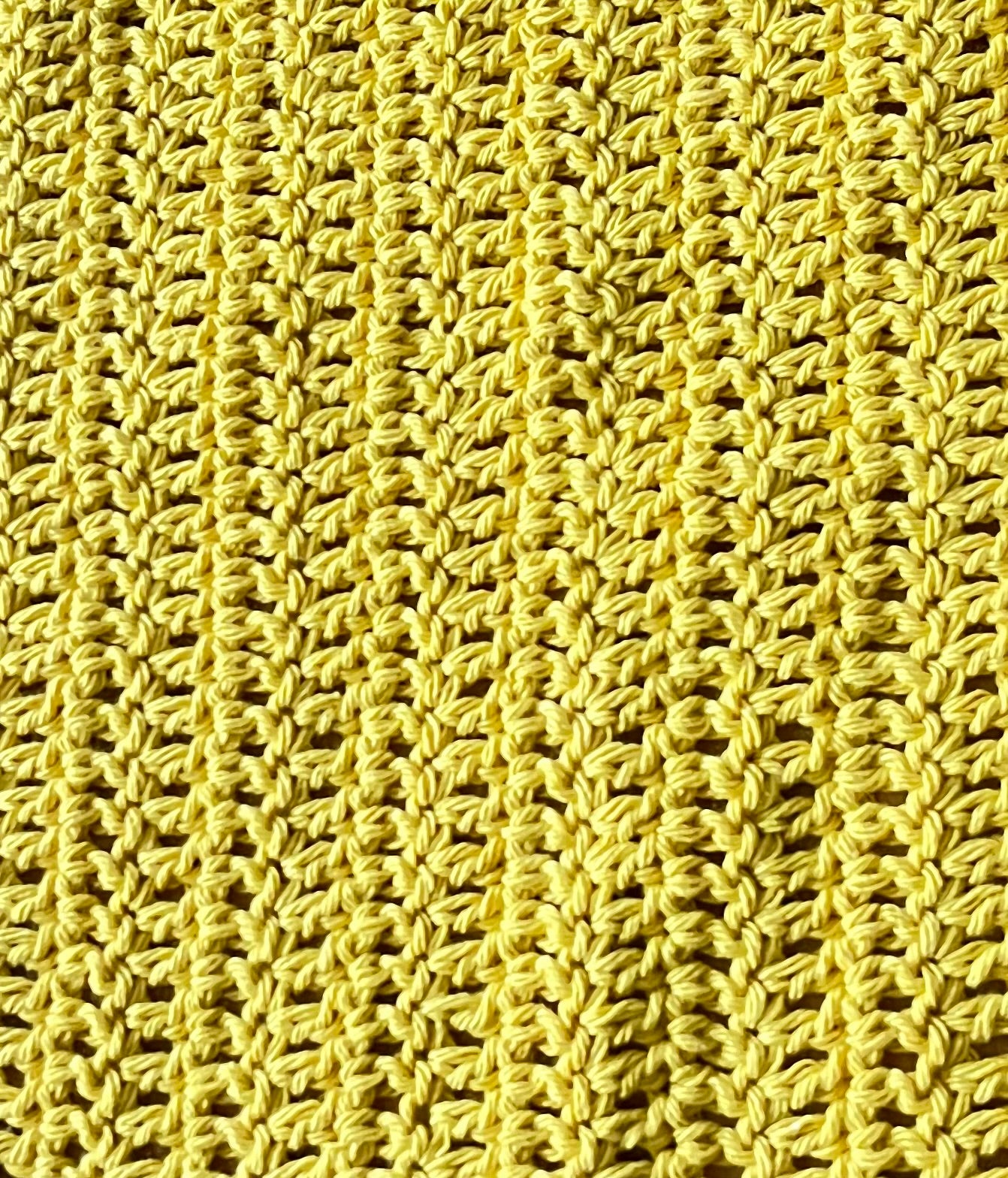 Ultimate Bamboo Crocheted Dish Cloth - Bold Border Quilts and More