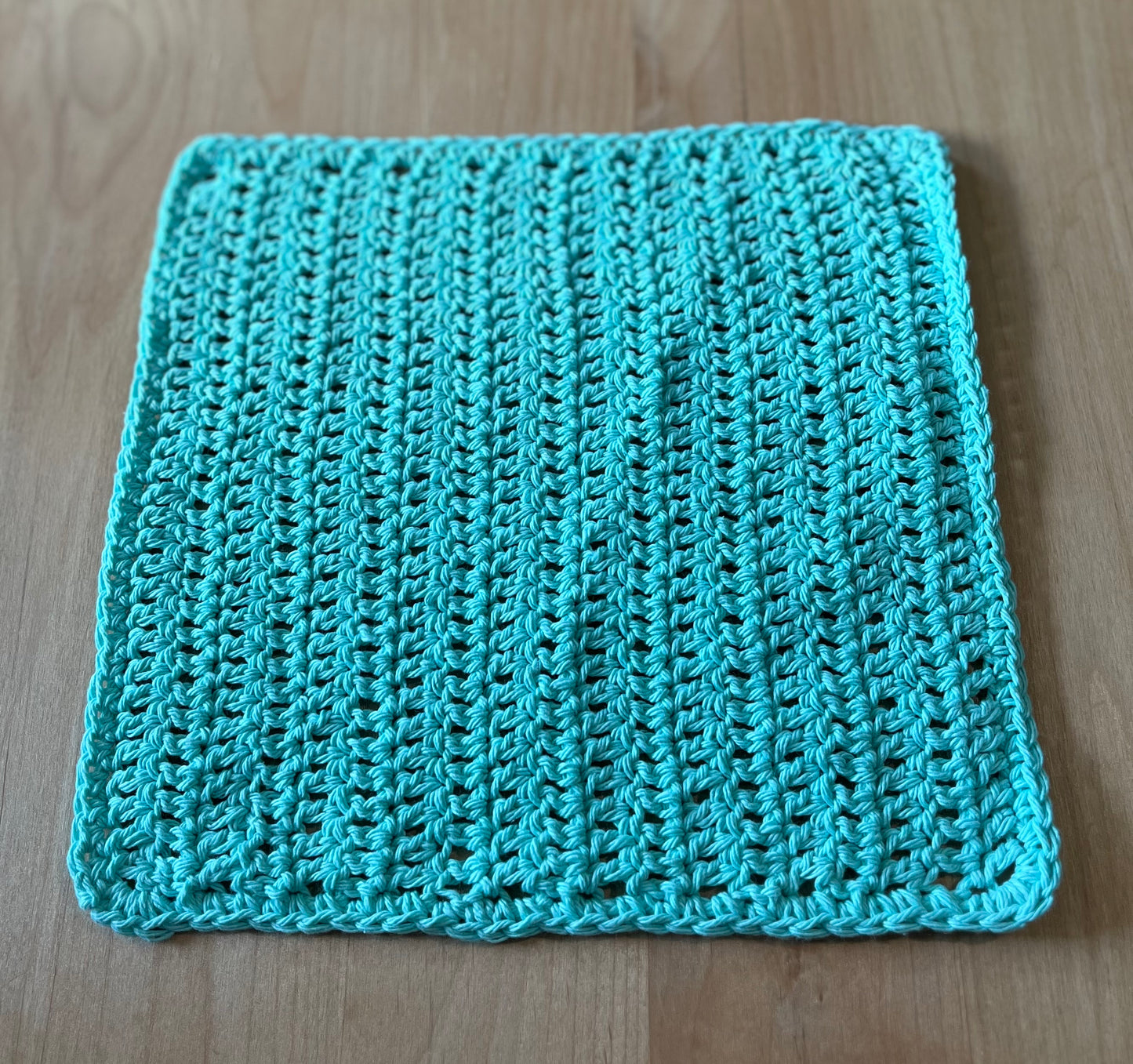 Ultimate Aqua Dish Cloth - Bold Border Quilts and More
