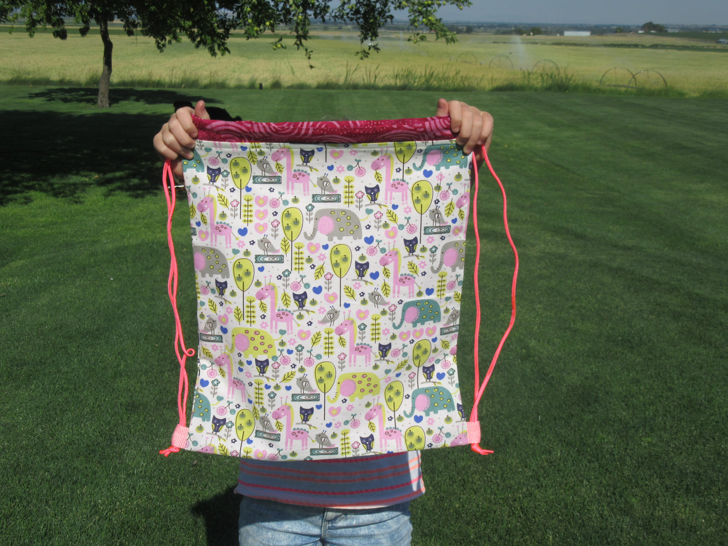 Whimzy Animals Draw String Bag - Bold Border Quilts and More