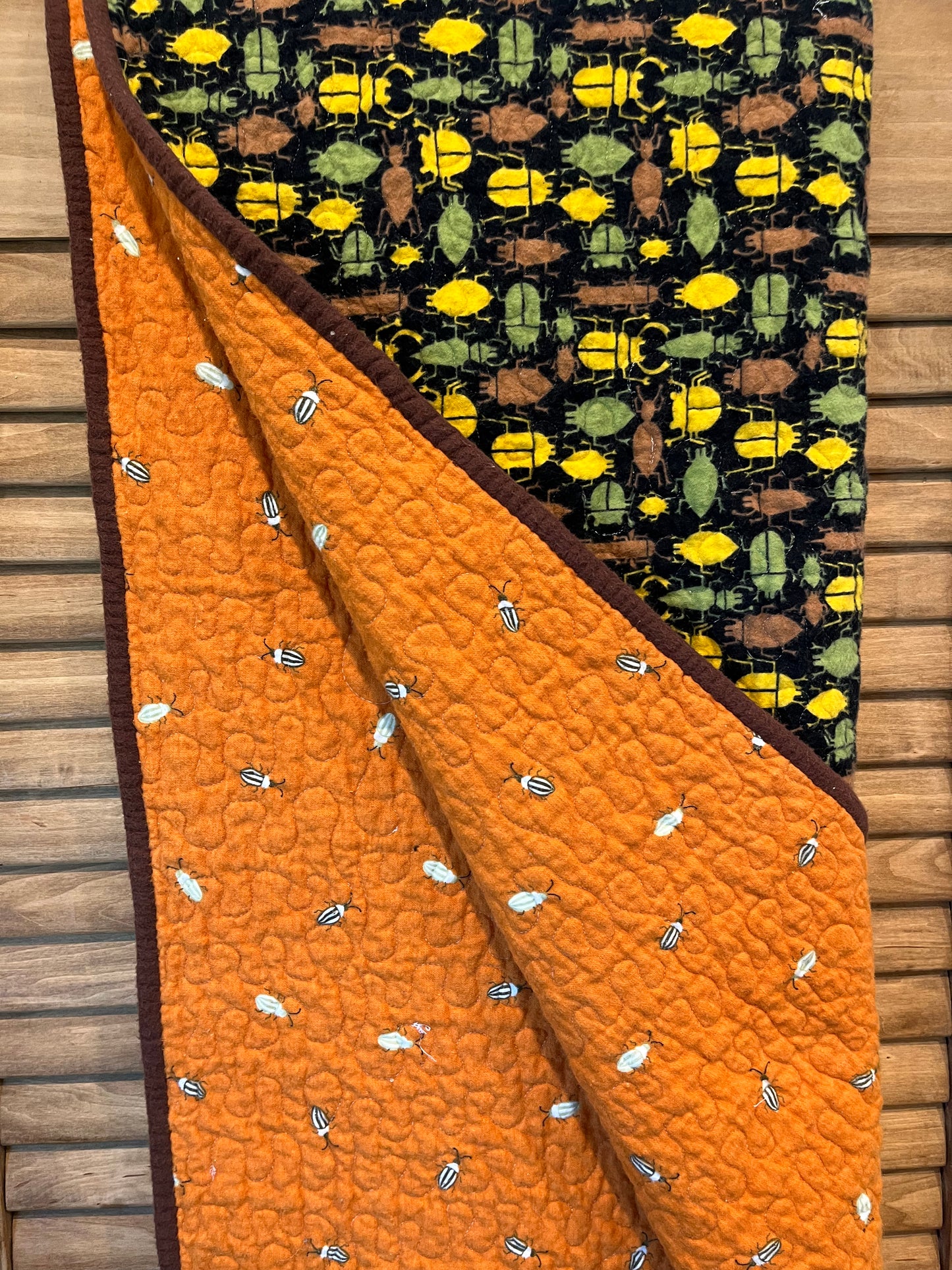 Bugs Galore! Kids Quilt