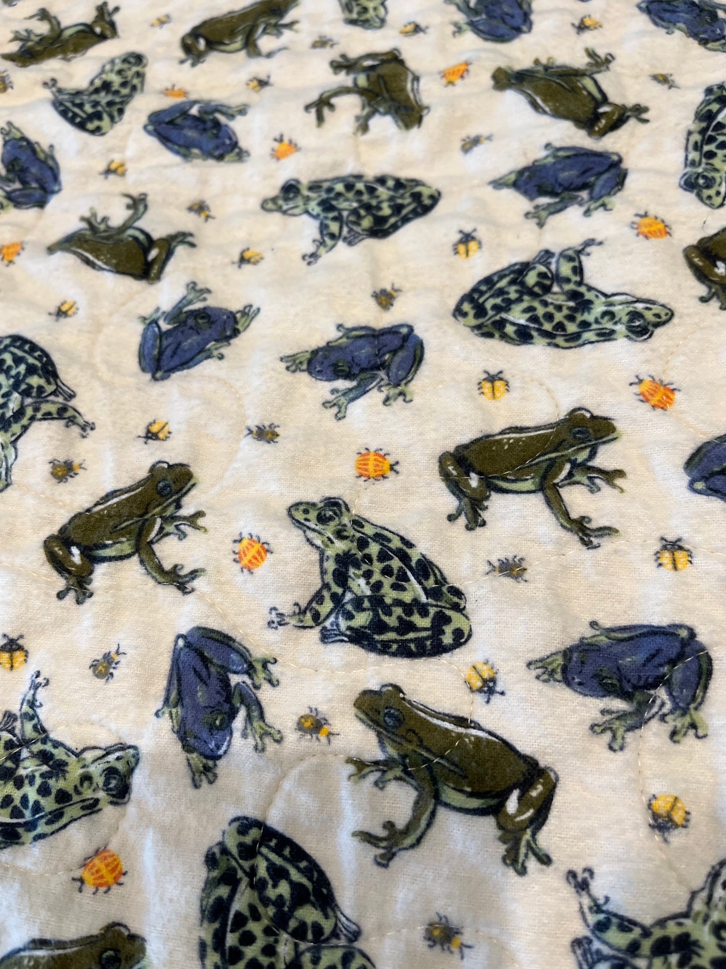 Frogs Everywhere!  Kids Quilt